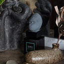 Raumduft Sculptures of Alemee - 250 ml