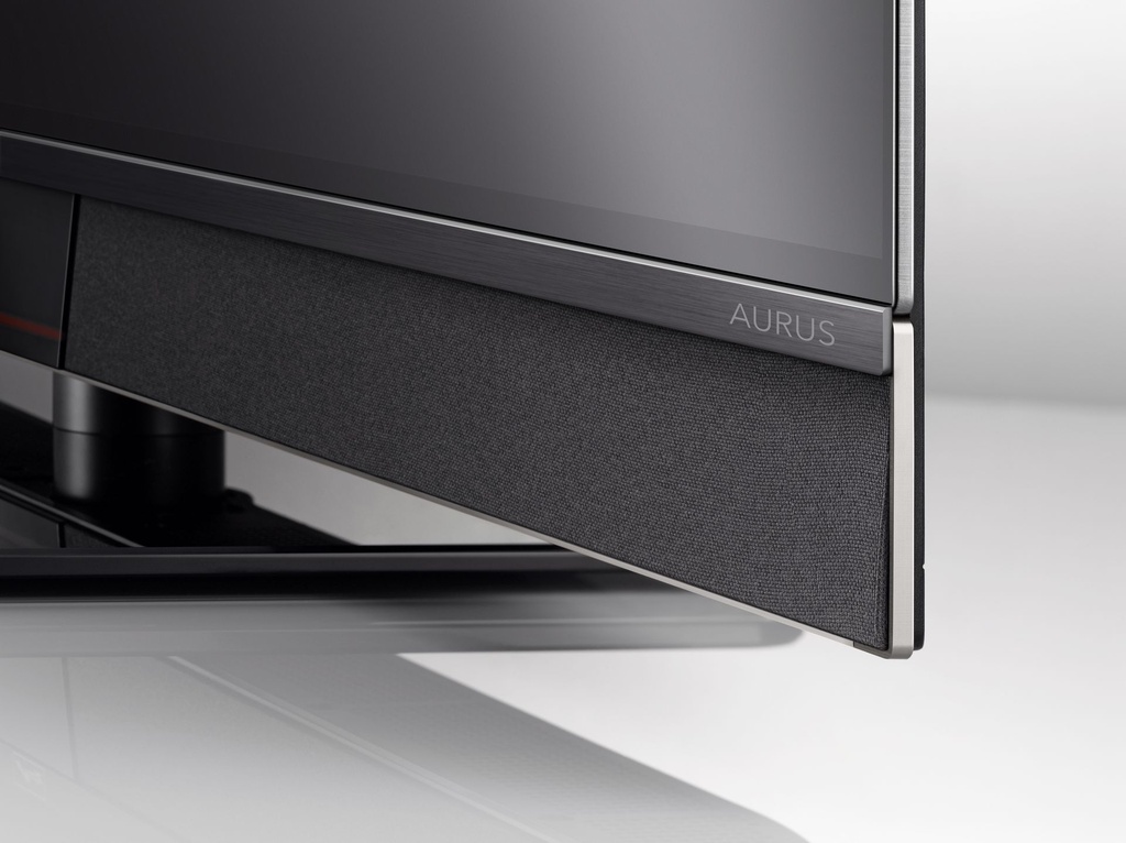 Aurus 65FA63 OLED twin  