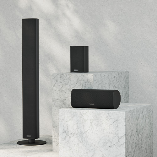 Ace 30 Wireless Tx schwarz