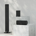 Ace 30 Wireless Tx schwarz