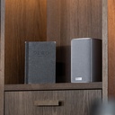 Ace 30 Wireless Tx silber