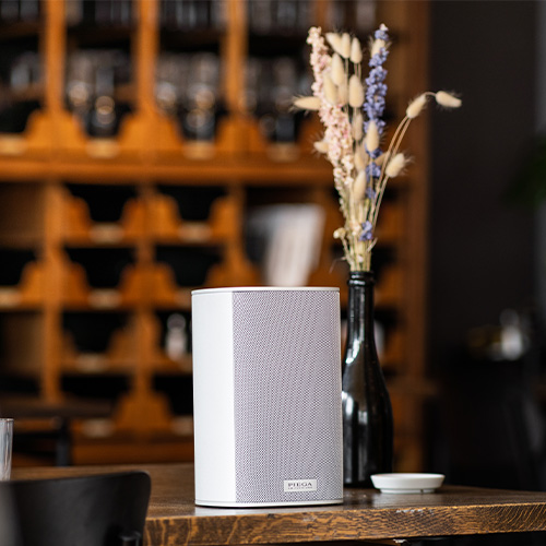 Ace 30 Wireless Tx weiss