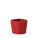 Becher Kurland KPM To-Go Edition Farvet - inkl. Manschette