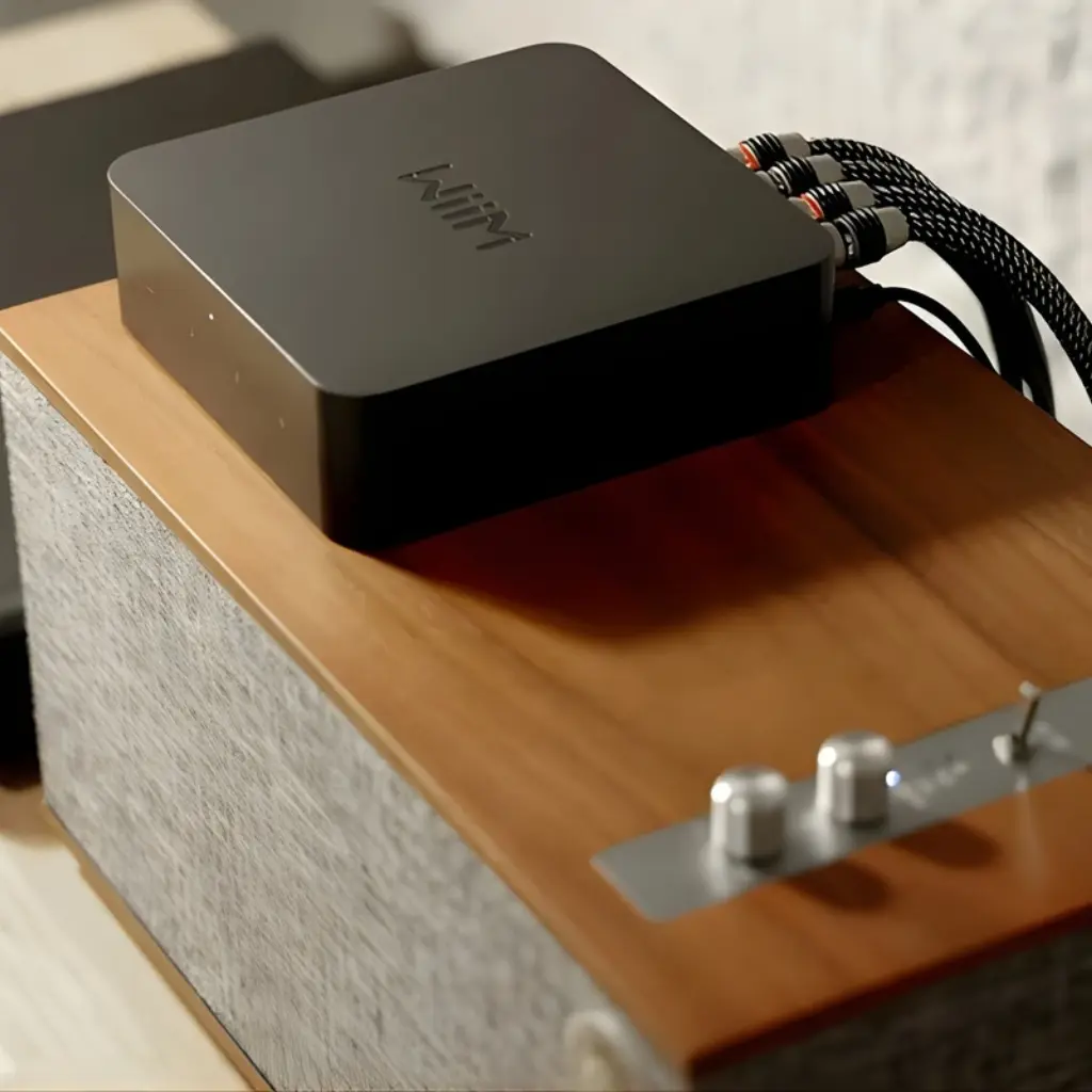 WiiM Pro Plus Freisteller Moodbild 2.webp