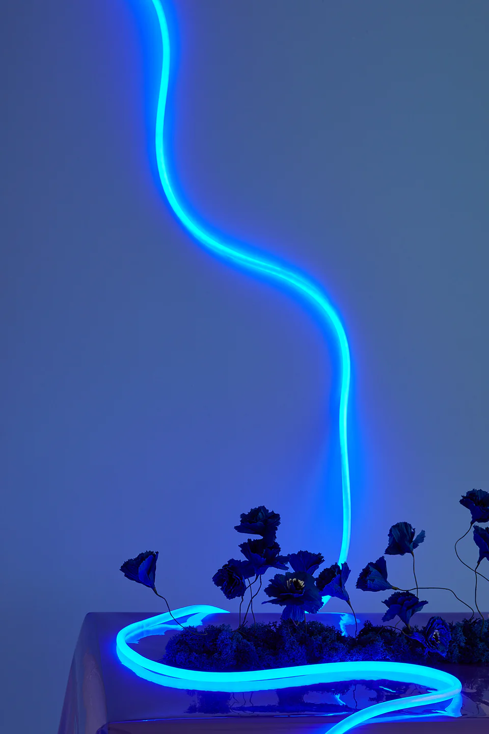 studio about-flex tube-blau-mood.webp