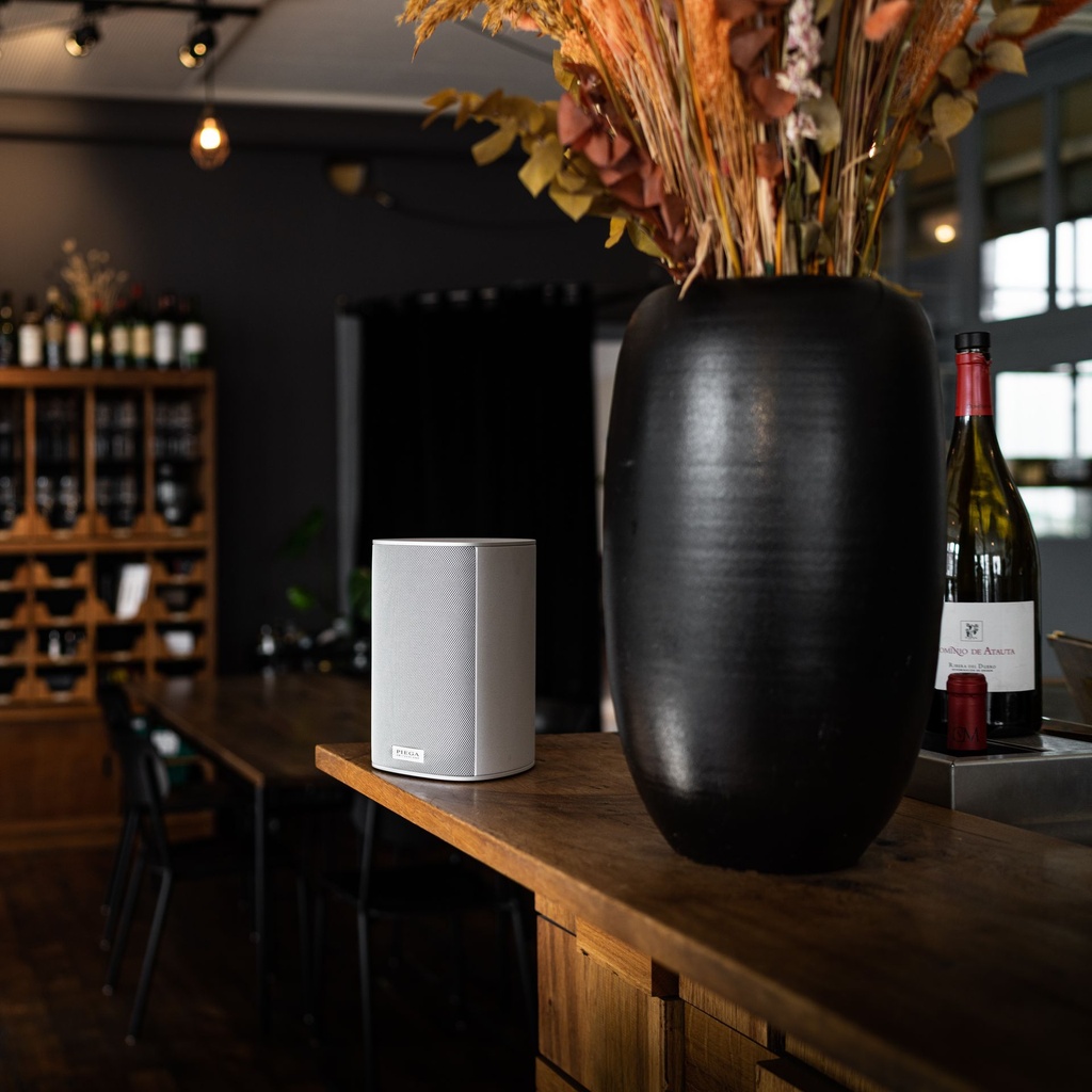 piega-ace30wireless-lautsprecher-silber-mood.webp