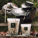 baobab_collection_duftkerze_halona_whiteworld_lifestyle2.webp
