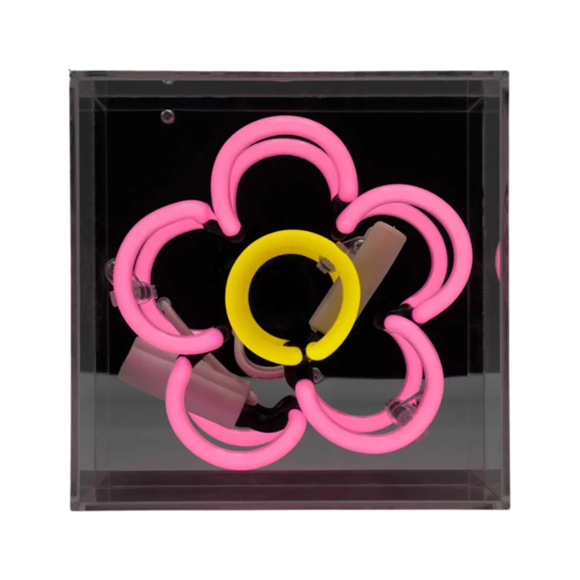 Daisy Neon-Box, Acryl, Mini