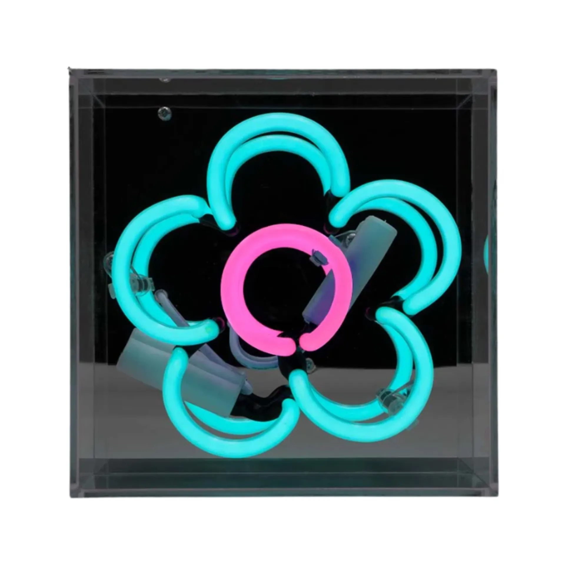 Daisy Neon-Box, Acryl, Mini