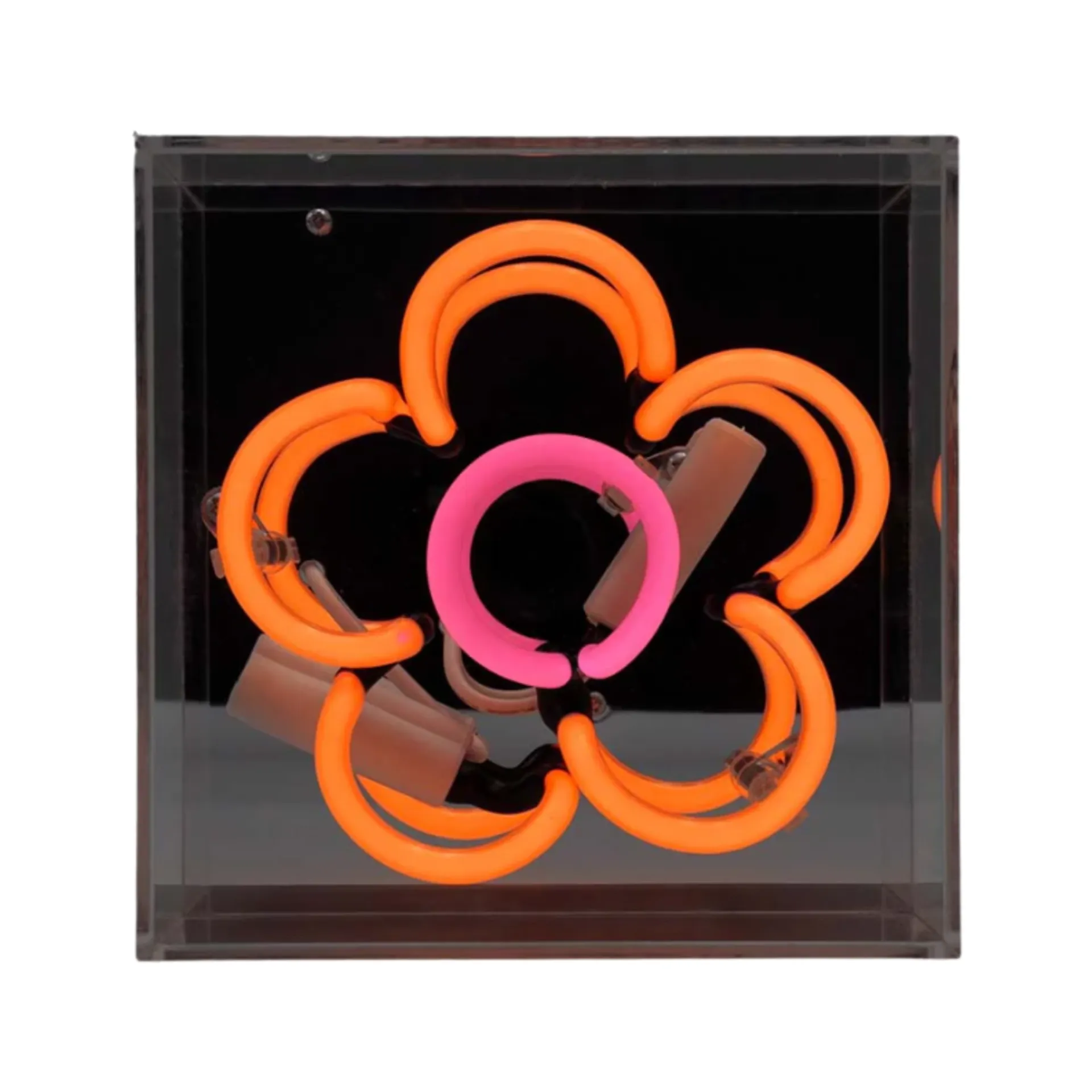 Daisy Neon-Box, Acryl, Mini
