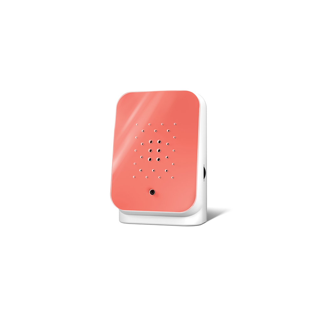 Junglebox