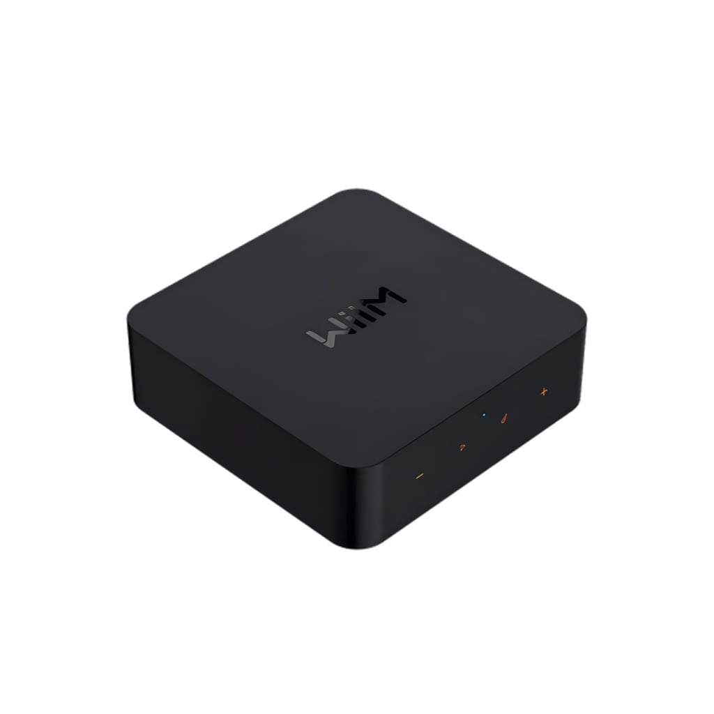 [LPWIPP] Pro Plus, High-Res-Streamer mit Fernbedienung