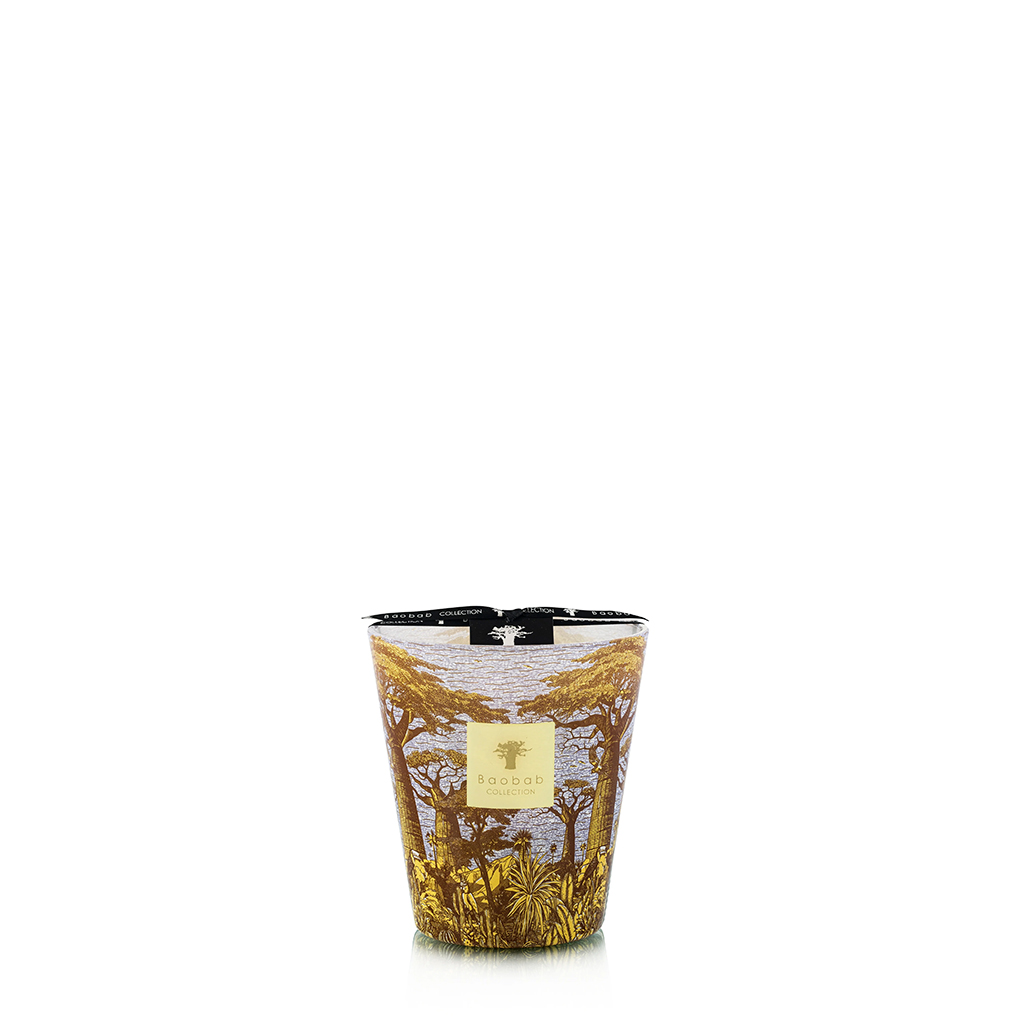 [MAX16STCO] Duftkerze Sacred Trees Summer - Cocody