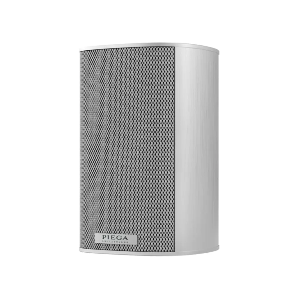 Ace 30 Wireless Rx silber